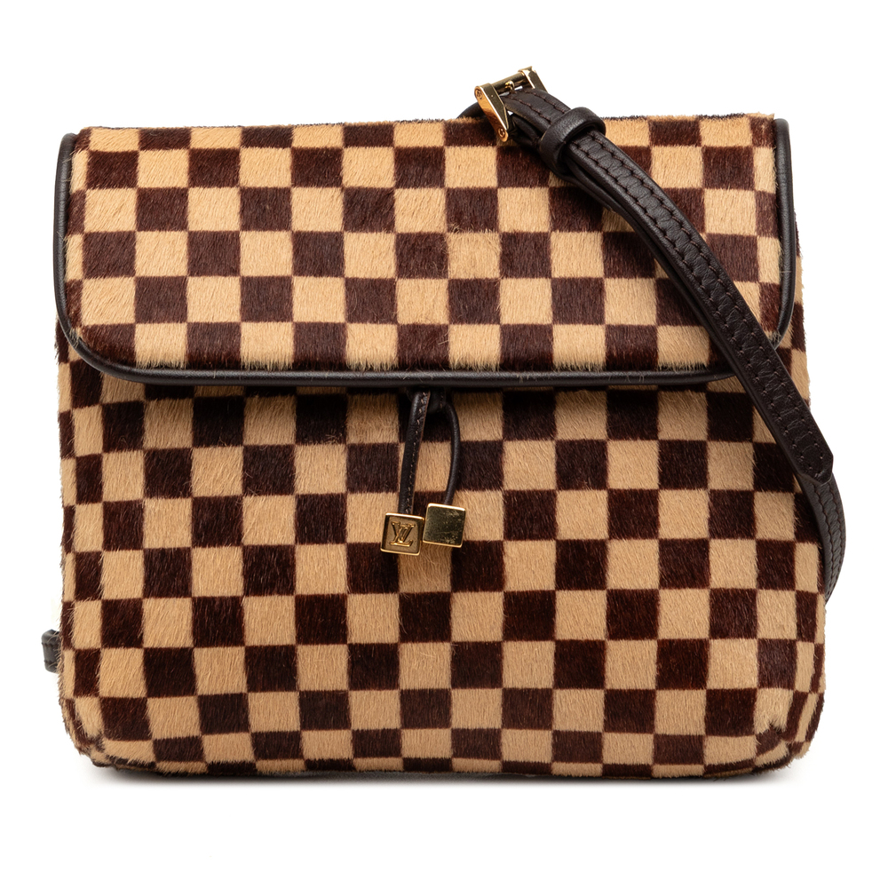 Pre-Loved Louis Vuitton Damier Sauvage Gazelle